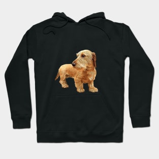 Dachshund Wire Haired Red Beauty! Hoodie